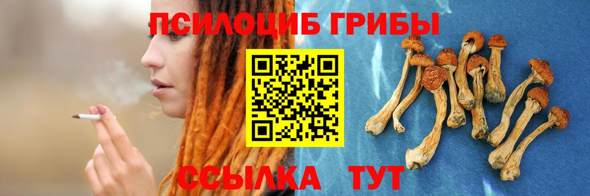 Тихорецк  Псилоцибиновые грибы GOLDEN TEACHER  Вход с VPN 